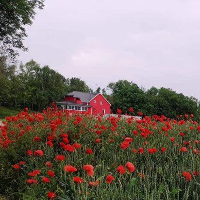 Bed and Breakfast Au Hameau De L'Ecluse Proche Europa-Park Marckolsheim Exterior foto